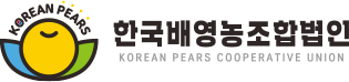 배경사진