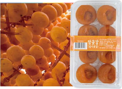 배경사진